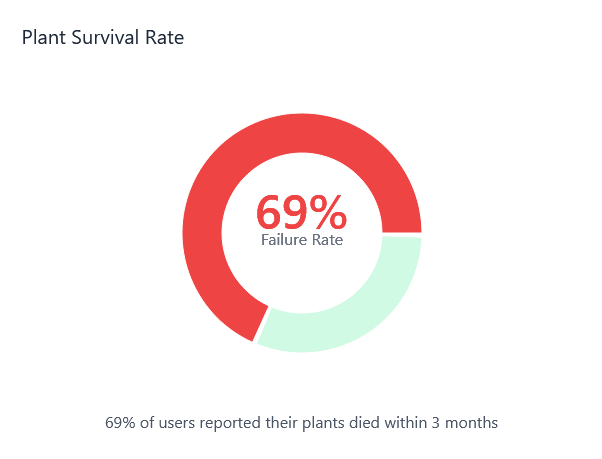 crowd of people on a town square