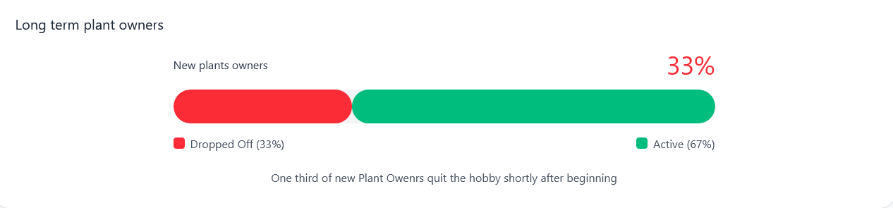 man taking a photo on a wharf