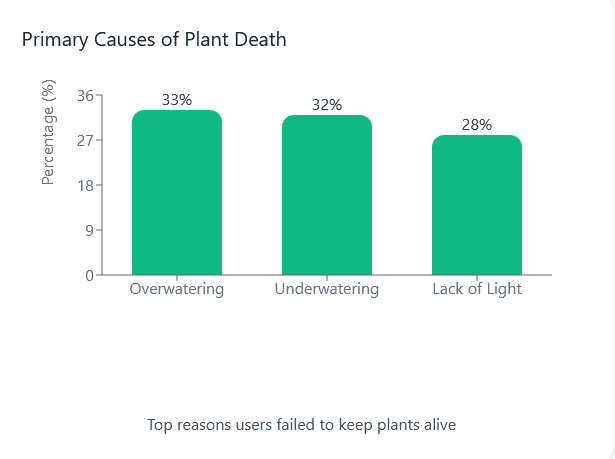 people playing basketball outside
